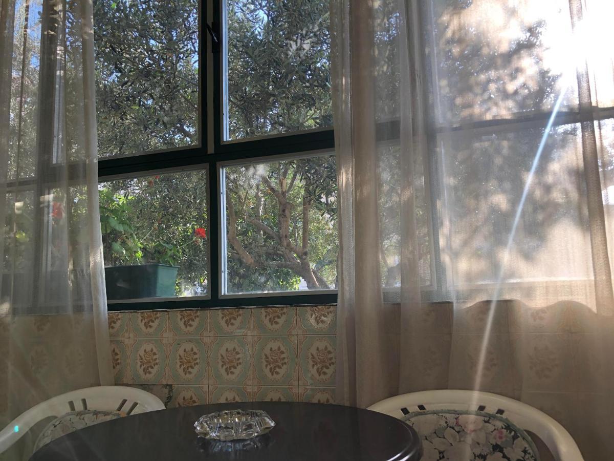 Garden Apartman Split Exterior photo
